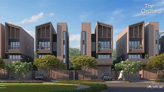 Hình ảnh dự án 36