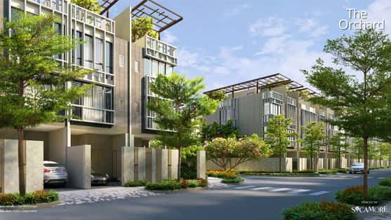 Hình ảnh dự án 37