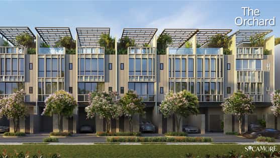 Hình ảnh dự án 41