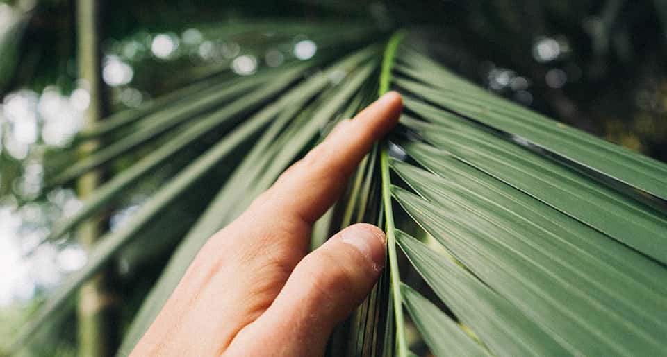 Hình ảnh dự án 5